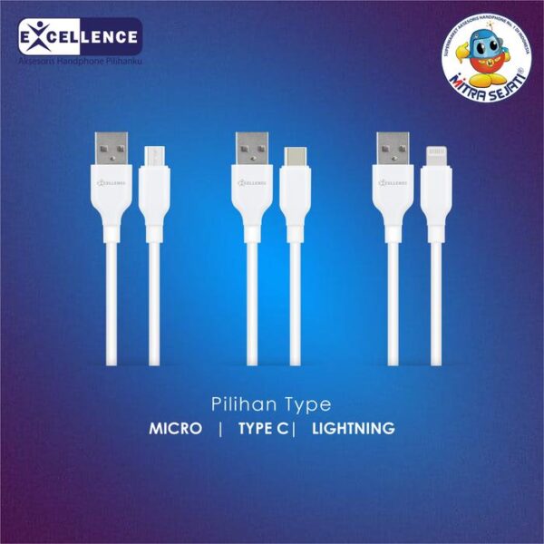 Kabel Data Excellence Cassia 6A untuk Lightning/Micro USB/Type-C - Gambar 4